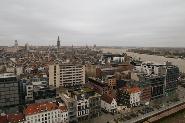 <big><b>ZICHT OP ANTWERPEN</b></big><br><br><big>- 2020 -</big>
					<br><br>Antwerpen (B)<br><small><i>Zicht op Antwerpen vanaf het Museum aan de Stroom.</i></small>
					<span class='w3-text-gray'>
						<br><br><code><i class='fa-solid fa-sliders fa-rotate-90 fa-sm'></i> <small>ISO 250 - F9 - 1/125s - 17mm<br>Sigma 17-50mm f/2.8 EX DC OS HSM</small></code>
					</span>