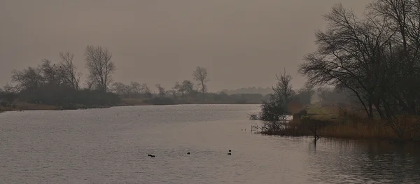 <big>WATERLOOP<b>DAMHERT</b></big><br>Amsterdamse Waterleidingduinen (NL)<br><br><big>- 2024 -</big>
					<span class='w3-text-gray'>
						<br><br><code><i class='fa-solid fa-sliders fa-rotate-90 fa-sm'></i> <small>ISO 400 - F8 - 1/1000s - 70mm<br>Canon EF 70-300mm f/4-5.6L IS USM</small></code>
					</span>